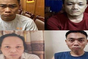 Quảng Ninh liên tiếp phá nhiều chuyên án ma túy lớn