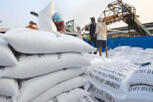 Xuất cấp gạo cho 2 tỉnh Ninh Thuận và Bình Định