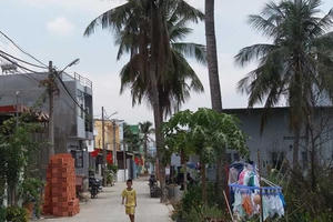 'Ngưng tách thửa cho dân là sai'