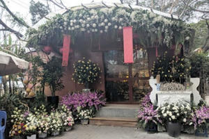 Bí ẩn ngôi miếu “cô Mai Hoa” ở Hà Nội Bí ẩn ngôi miếu “cô Mai Hoa” ở Hà Nội