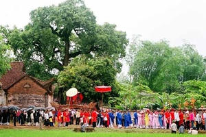 Bắc Giang: Lễ hội " Đại thụ Dã Hương nghìn năm tuổi" (Tiên Lục - Lạng Giang - Bắc Giang)