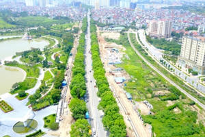 Ngày mai Hà Nội chặt hạ, đánh chuyển hơn 1.000 cây xanh trên đường Phạm Văn Đồng