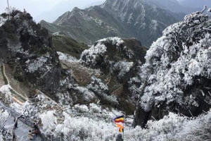 Fansipan xuất hiện tuyết, cả đỉnh núi đẹp kỳ ảo trong sắc trắng