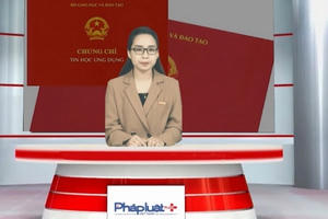 Bản tin pháp luật: Rườm rà chứng chỉ ngoại ngữ, tin học