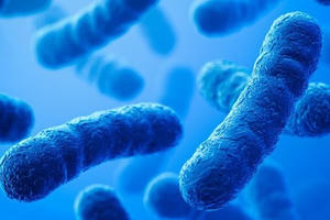 10 triệu người có thể tử vong mỗi năm do vi khuẩn kháng thuốc