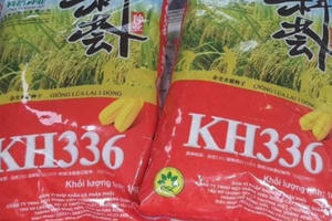 Phát hiện 2 tấn lúa giống chưa được cấp phép ở TP Vinh