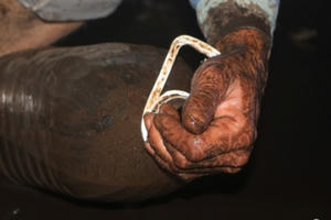 Kinh hoàng bể nước chung cư Golden Land Hà Nội đầy chất nhờn đen bốc mùi khó chịu