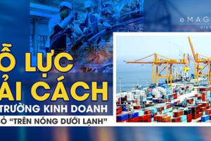 2019: Hàng vạn hộ kinh doanh phải thay đổi nếu quy định này ra đời