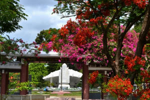 Tháng 5, viếng thăm khu vườn của cụ thân sinh Chủ tịch Hồ Chí Minh