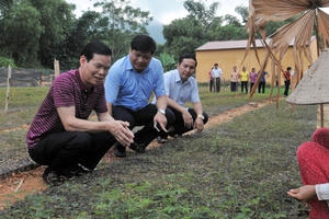 Bí thư Tỉnh ủy Hà Giang xác nhận nhiều người nhà "làm quan" là có thật