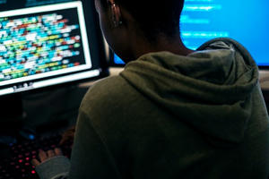 Tấn công mạng, từ trò đùa trở thành tội phạm