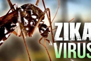 TP Hồ Chí Minh: Thêm một người nhiễm virus Zika
