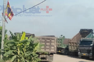 Những "binh đoàn" xe tải "án binh bất động" trong đợt cao điểm xử lý xe quá khổ, quá tải