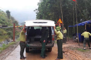 Rừng Hóa Sơn bị “lâm tặc” tàn phá: Cách chức giám đốc lâm trường, các trạm trưởng