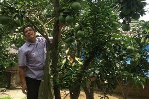 Cựu chiến binh mỗi năm thu 500 triệu đồng từ trang trại