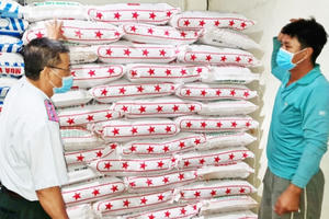 An Giang: Bắt giữ 281 bao phân bón giả