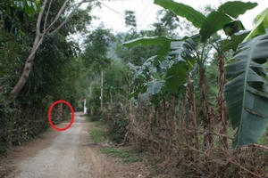 Quảng Bình: Kế toán trường học chết bất thường với nhiều vết đâm