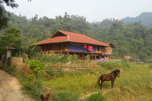 Bắc Kạn: Nhà sàn “khủng” của quan thôn mọc lên giữa điểm nóng “nghiến tặc”