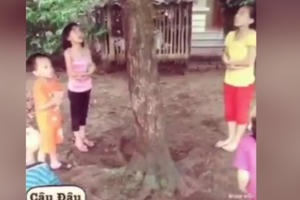 Phần 2 "phiên tòa luận tội xoài tặc" ở Nghệ An tiếp tục gây bão mạng Phần 2 "phiên tòa luận tội xoài tặc" ở Nghệ An tiếp tục gây bão mạng