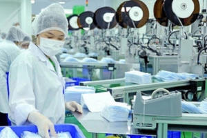 Doanh nghiệp cần chủ động chuẩn bị "hộ chiếu thương mại" để bước vào EVFTA