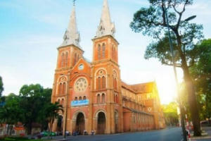 Bản tin Sài Gòn Plus: Liên tiếp phát hiện các vụ buôn lậu ngà voi