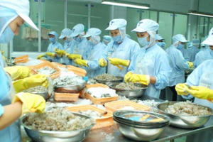 Cần hành lang pháp lý rõ ràng cho kinh tế tuần hoàn Cần hành lang pháp lý rõ ràng cho kinh tế tuần hoàn