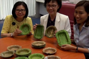 Người Thái phát minh ra chiếc bát làm từ lá cây, thay thế cho hộp đựng thức ăn bằng xốp độc hại