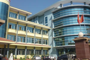 Điện cơ Hà Nội trúng nhiều gói thầu tại Điện lực Quảng Ninh