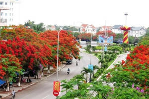 Mãn nhãn con đường hoa phượng đẹp nhất Việt Nam