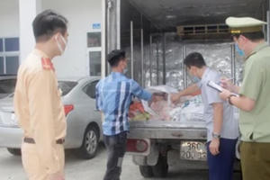 Kiểm tra xe vi phạm, phát hiện 300 kg bì lợn đã chuyển màu, bốc bùi lạ