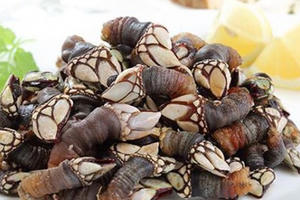 Những đặc sản có tên gọi “rùng rợn” nhất thế giới, Việt Nam cũng có một món Những đặc sản có tên gọi “rùng rợn” nhất thế giới, Việt Nam cũng có một món