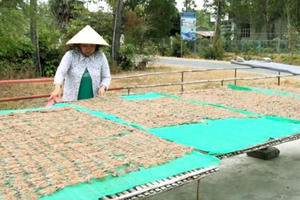 Dàn “vũ nữ chân dài” - đặc sản An Giang "đốn tim" dân nhậu miền Tây Dàn “vũ nữ chân dài” - đặc sản An Giang "đốn tim" dân nhậu miền Tây