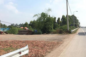 Vụ phá hộ lan QL1: Thanh tra Bộ Giao thông vận tải vào cuộc