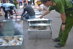 Đề xuất nghiền nát ngà voi, sừng tê giác lậu ở Hoàng Thành Thăng Long