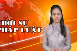 Bản tin Thời sự Pháp luật ngày 11/12: Nối lại đường bay quốc tế