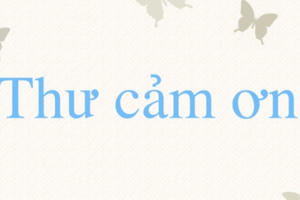 Pháp luật Plus: Lời Tri ân sau sinh nhật lần thứ 4!