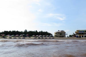 Thái Bình: Thực hư thông tin cá, ngao, sứa chết ở biển Cồn Vành Thái Bình: Thực hư thông tin cá, ngao, sứa chết ở biển Cồn Vành