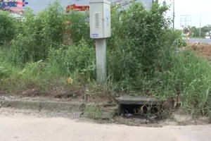 TP HCM: Hiểm họa từ những hố ga, miệng cống không có nắp đậy