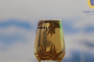 Thưởng thức loại trà đặc biệt Việt Nam bán 680 triệu đồng/kg