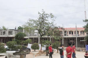 Nhiều sai phạm trong công tác đầu tư xây dựng cơ bản tại huyện Yên Thế