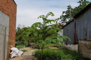 TP HCM: Doanh nghiệp “kêu trời” vì dân xây nhà tạm chờ đền bù giá cao TP HCM: Doanh nghiệp “kêu trời” vì dân xây nhà tạm chờ đền bù giá cao