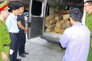 Hà Giang: 124 thanh gỗ Bách Xanh bất hợp pháp suýt bị tẩu tán