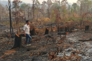 Tây Nguyên mất rừng, vỡ quy hoạch, quản lý yếu kém, hạn chồng hạn