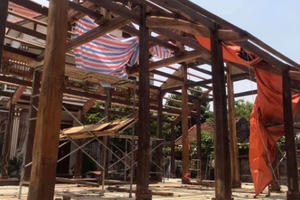 “Đi săn” nhà gỗ cho đại gia, rủng rỉnh đút túi cả trăm triệu mỗi tháng