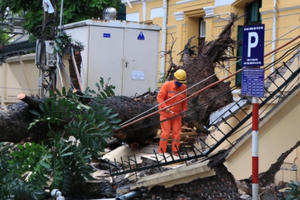 Cận cảnh hiện trường cây cổ thụ bất ngờ bật gốc, đè sập tường Toà án nhân dân tối cao
