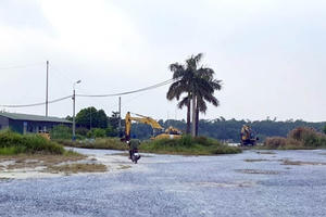 Thái Bình: Tỉnh xé rào pháp luật, doanh nghiệp hưởng... “đặc lợi, đặc quyền”