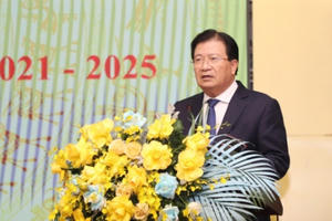 Phó Thủ tướng Trịnh Đình Dũng chủ trì Hội nghị về thúc đẩy sản xuất, chế biến và xuất khẩu lâm sản