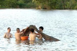 Trải nghiệm tuyệt vời của 4 cặp bố con trên sông nước miền Tây