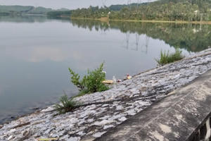 Nghệ An: Nữ sinh bị bà sát hại đã tham gia 2 gói bảo hiểm