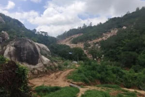 Khởi tố vụ án hơn 31.000m2  rừng bị “băm nát” tại Vũng Tàu